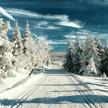 U Kubů Apartamento *